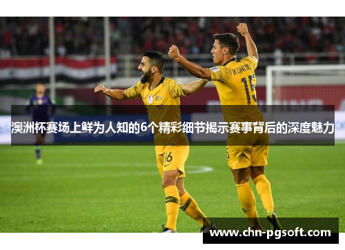 澳洲杯赛场上鲜为人知的6个精彩细节揭示赛事背后的深度魅力